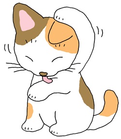 猫が体を拭く