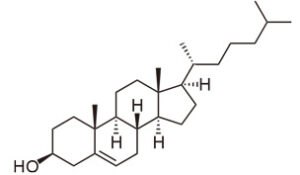 コレステロール構造