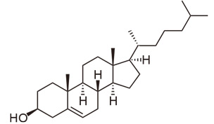 コレステロール構造